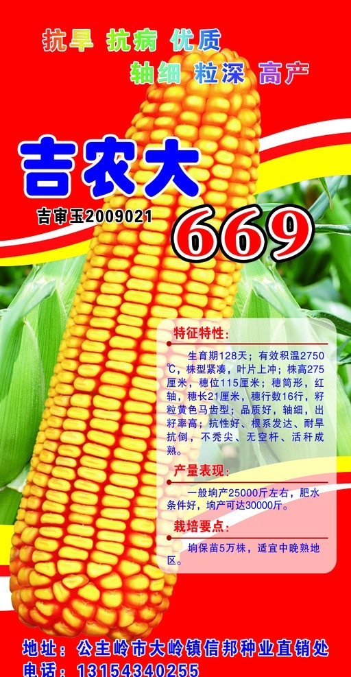 吉农大669 玉米海报 玉米棒 特征特性 产量表现 栽培要点 dm宣传单 广告设计模板 源文件