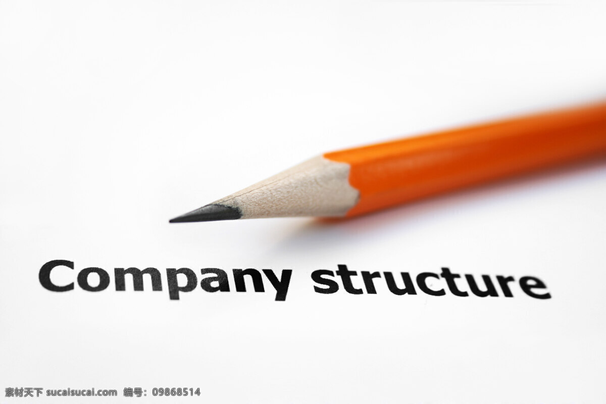 公司 结构 公司结构 商务金融