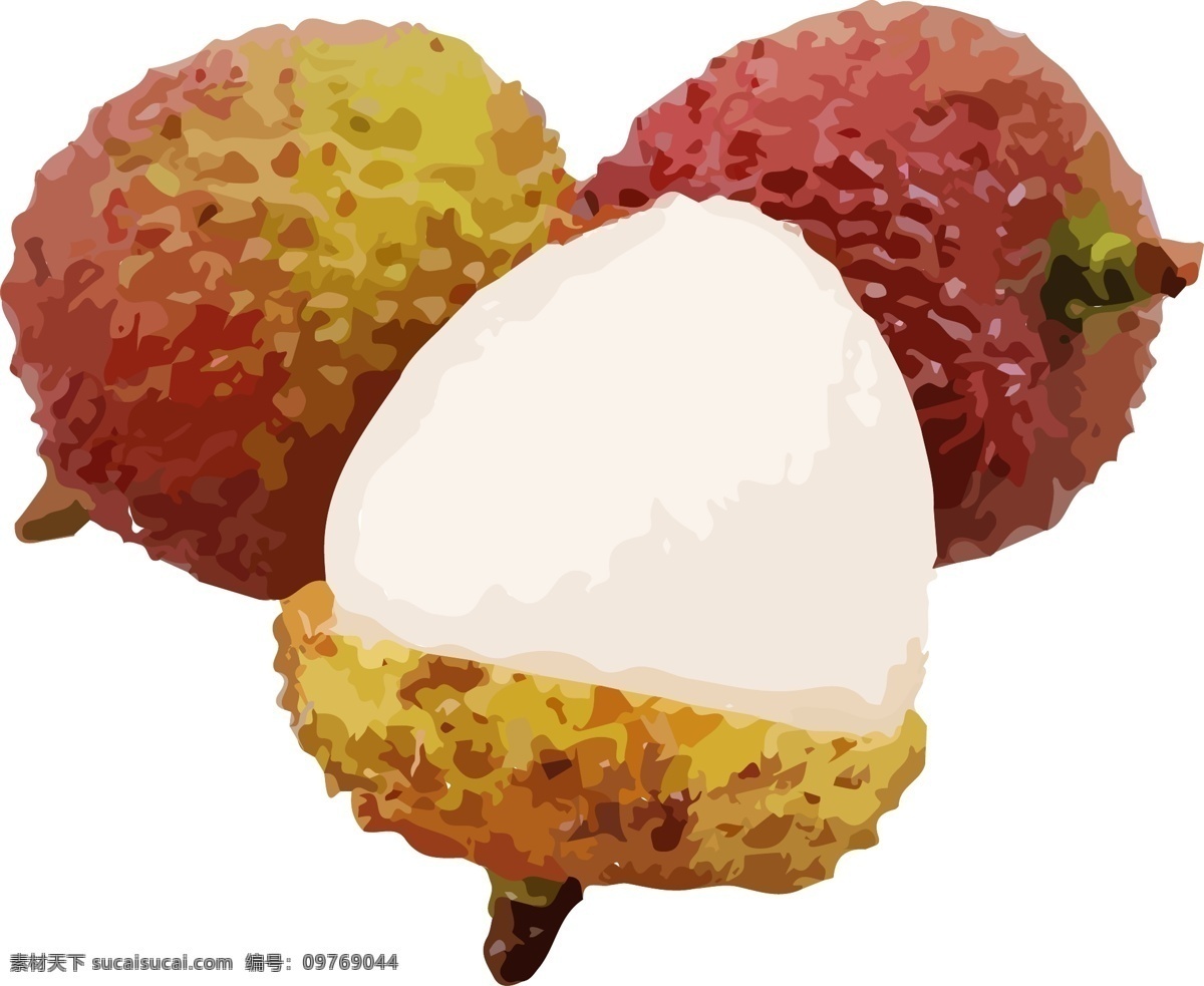 荔枝 手绘 插画 水果 水果素材 逼真 写实 美食