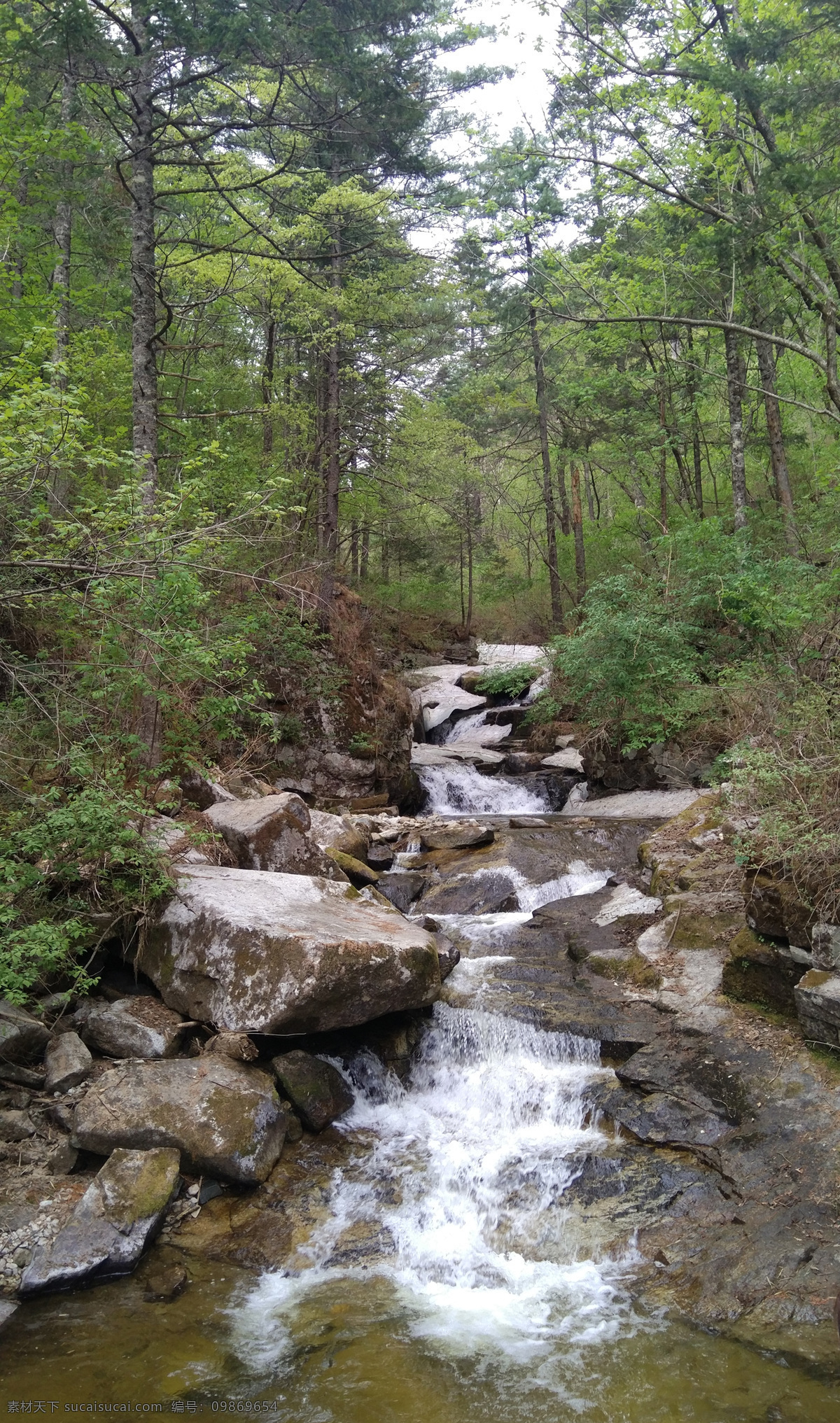 5月溪谷 溪谷 小溪 流水 深山 树林 冰冻 山泉水 自然景观 自然风景