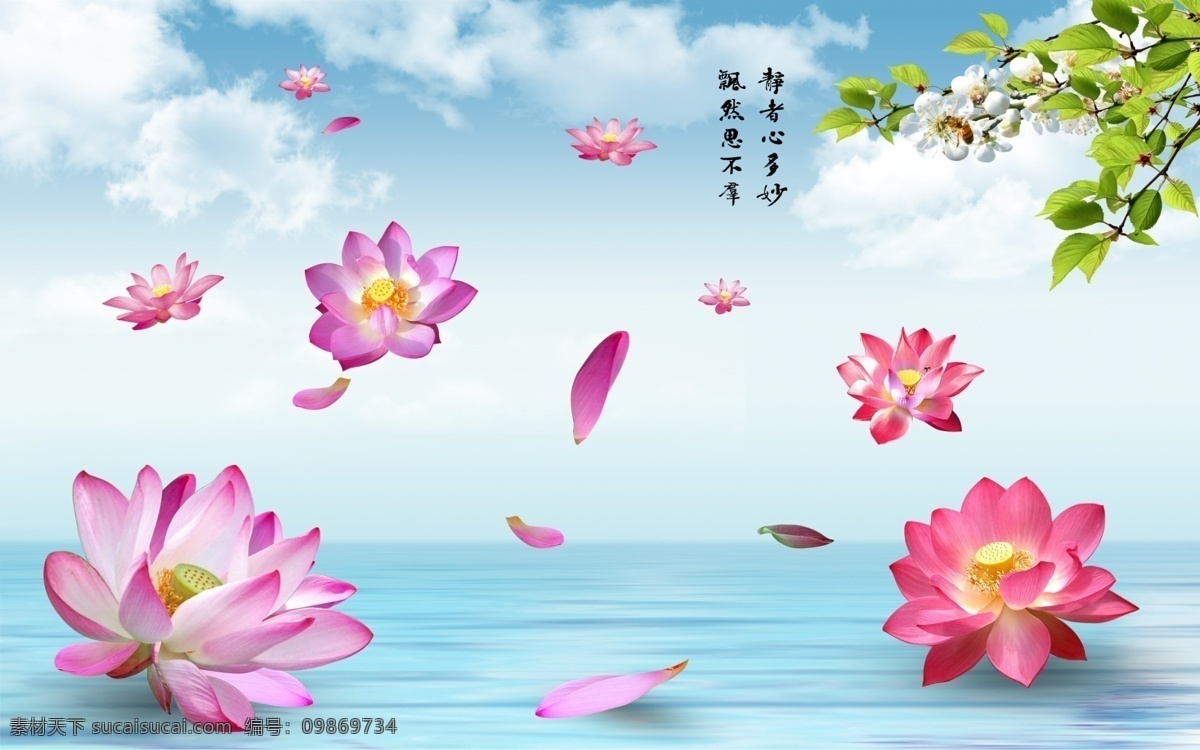 荷花风景 荷花 蓝天 白云 静湖 花 背景墙