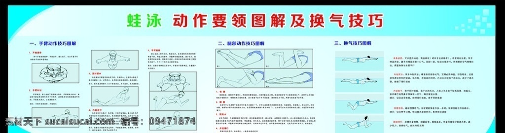 蛙泳动作图解 蛙泳动作 蛙泳图解 游泳馆 游泳技巧 蛙泳技巧 游泳教学 游泳展板 矢量图 展板模板