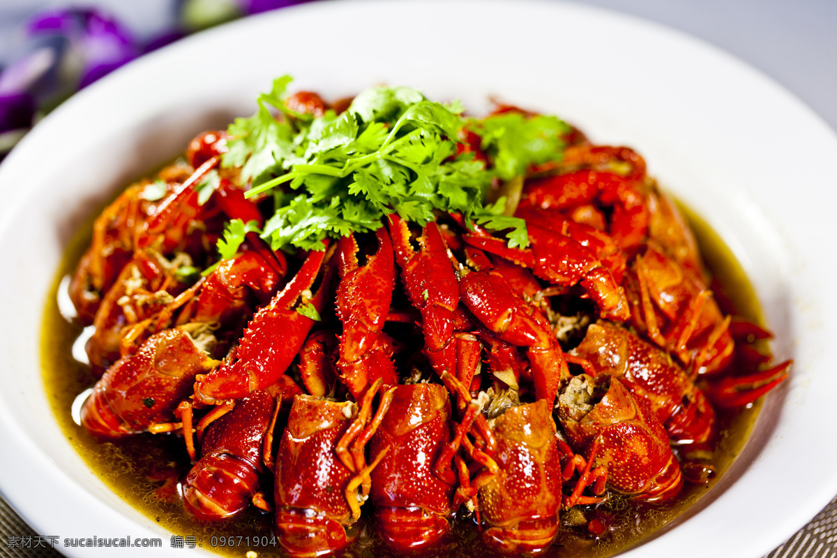 麻辣小龙虾 香辣虾 麻辣虾 龙虾 十三香龙虾 香辣小龙虾 蒜香小龙虾 清蒸小龙虾 小龙虾 盱眙小龙虾 海鲜 家常菜 高清菜谱用图 餐饮美食 传统美食