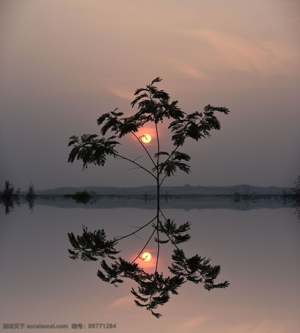 装饰画 水中 倒影 美景 摄影美图 树 水 水与倒影 夕阳