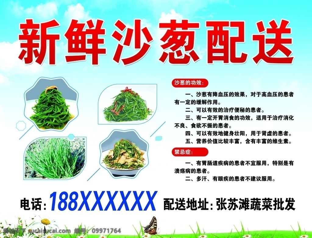 新鲜沙葱 沙葱 配送 车体广告 草原沙葱 沙葱的功效 沙葱功效 沙葱禁忌 分层