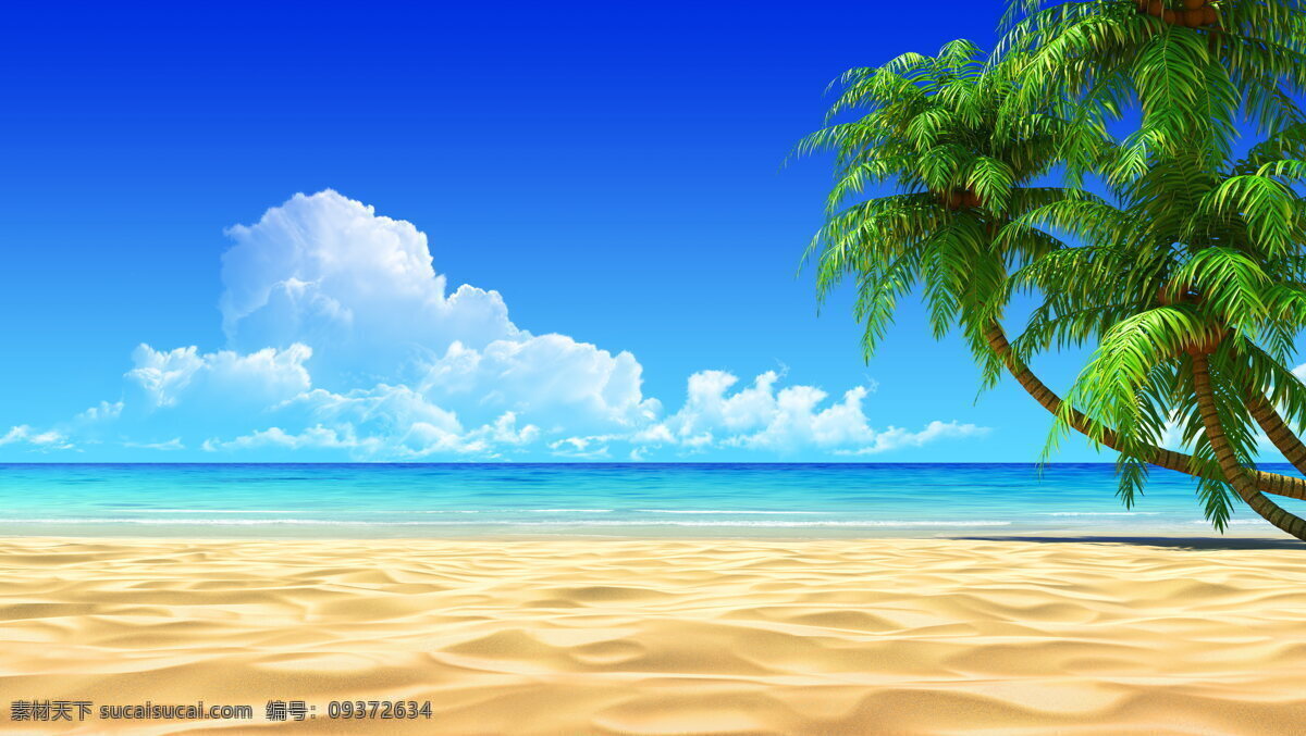 海边背景素材 海边背景 海边 大海 海景 水波 椰子树 热带植物 绿树 植物 植被 热带海边 蓝天 白云 天空 海边风光 风景图 自然景观 自然风景