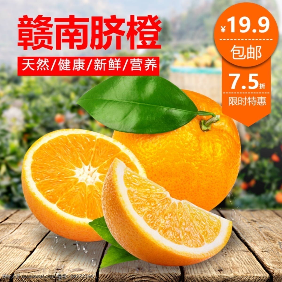 脐橙 新鲜 水果 清新 绿色 淘宝 主 图 直通车 天猫 主图 促销 赣南 食品 夏季 夏天 橘子