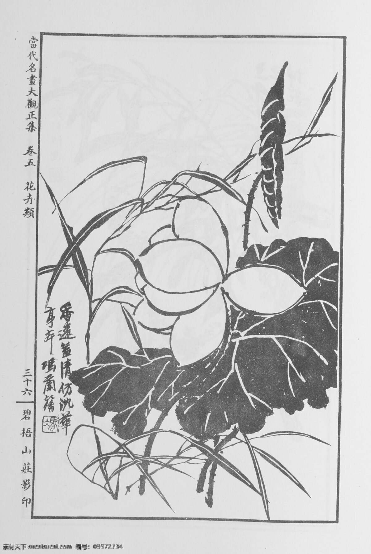 花卉画 中国画 当代 名画 大观 正 集 设计素材 花鸟画篇 中国画篇 书画美术 白色