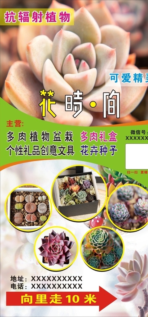 植物花坊 植物 海报 盆栽 植物盆栽 个性礼品