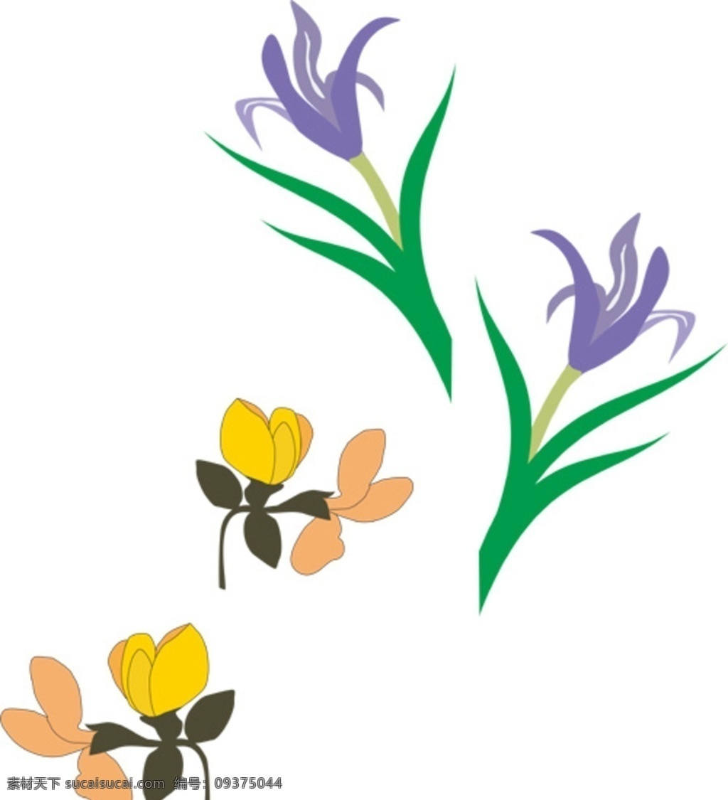 马莲花 冬青花 马兰花 沙冬青 动情 矢量图 生物世界 花草
