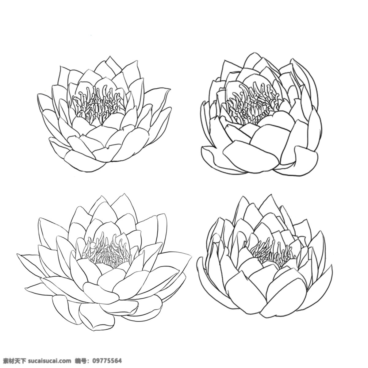 简 墨 莲花 装饰 图案 墨水 简洁 复古 黑色 图形设计 材料 中 国风 自然 植物 元素