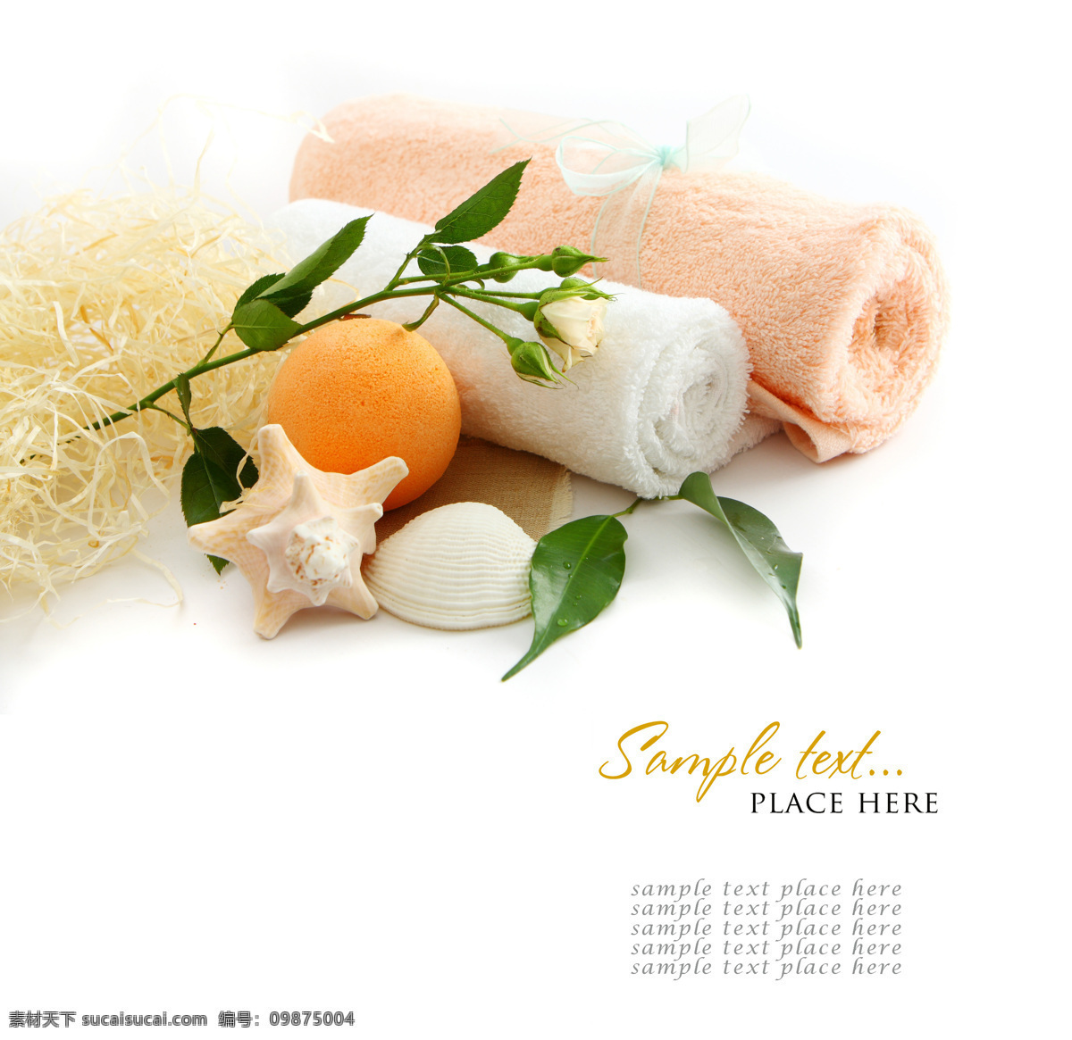 spa 贝壳 护理 花瓣 家居生活 健康生活 卡片 毛巾 水疗 美容 美容spa 香薰 浴巾 香皂 水疗中心 玫瑰花 洗刷 淋浴用品 女性美容 美容广告 娱乐休闲 生活百科 风景 生活 旅游餐饮