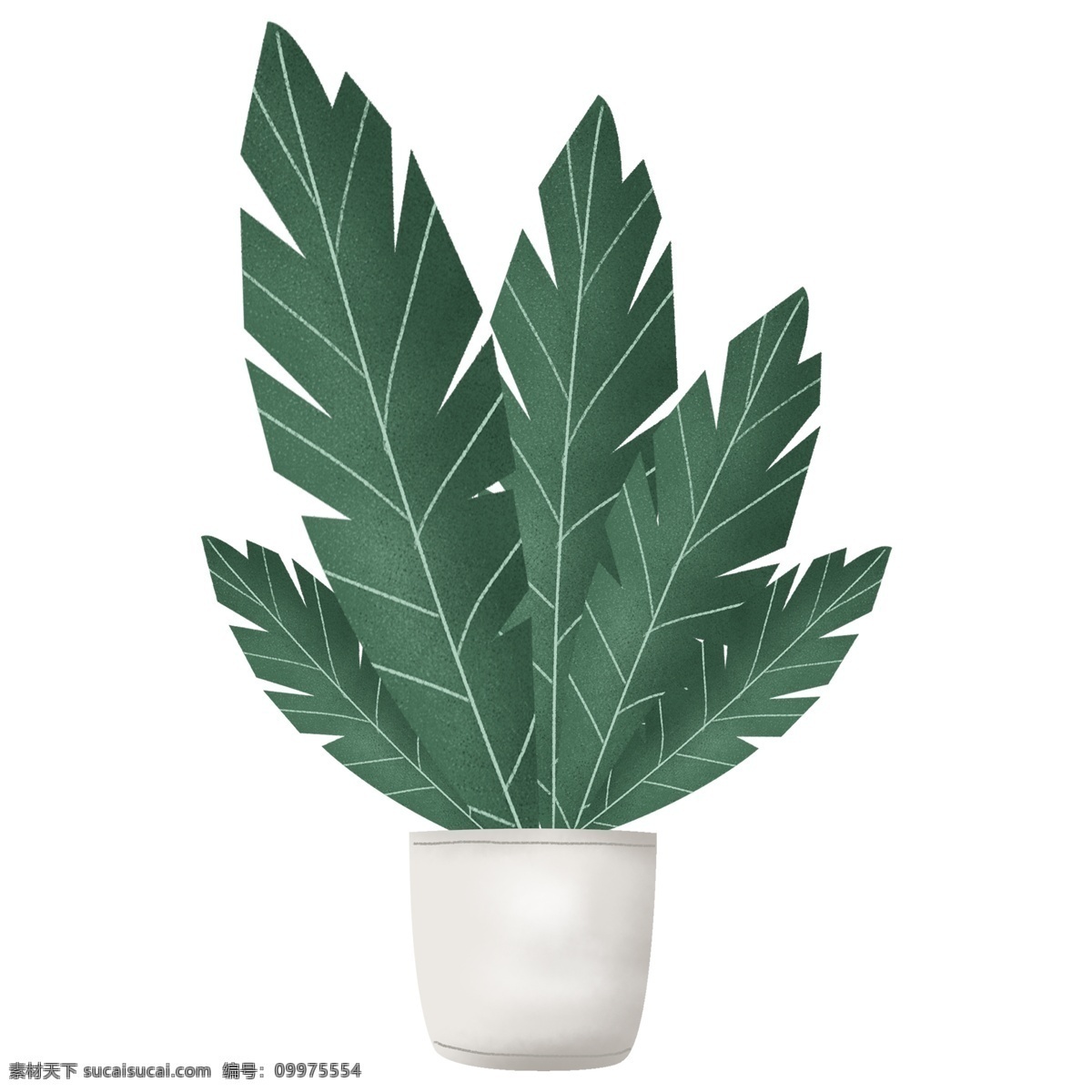 清新 唯美 盆栽 透明 插画 免扣素材 透明素材 卡通素材 可爱 植物