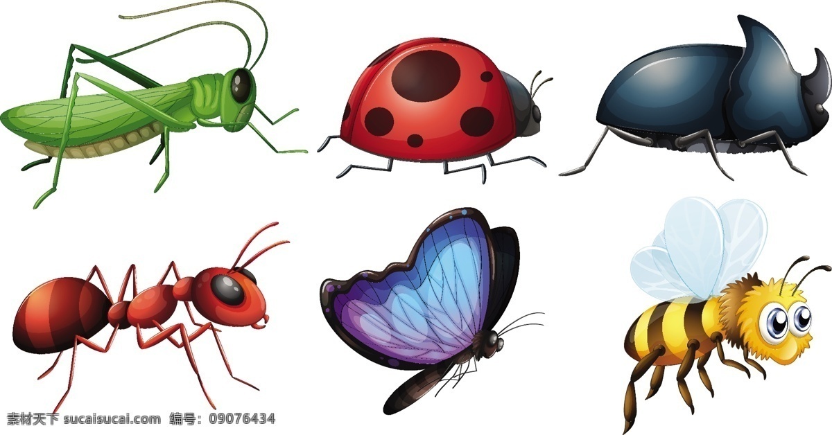 不同 种类 昆虫 插画 自然 艺术 绘画 插图 类型
