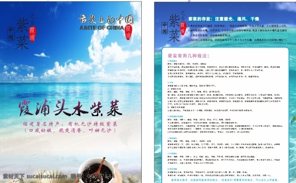 紫菜 海带 海洋 贝壳 蓝天 呦 去 彩页 dm宣传单