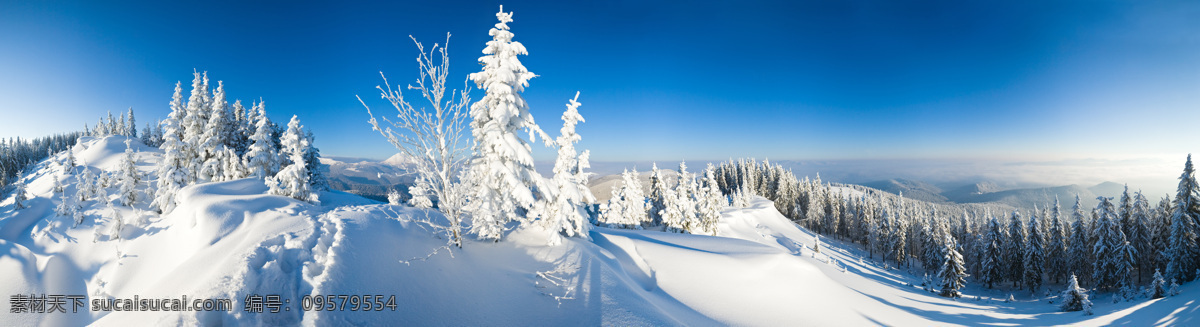 冬天风景摄影 植物 大树 冬天 冬季 自然风光 景观 景区 底纹背景 雪地 雪景 自然景观 白色