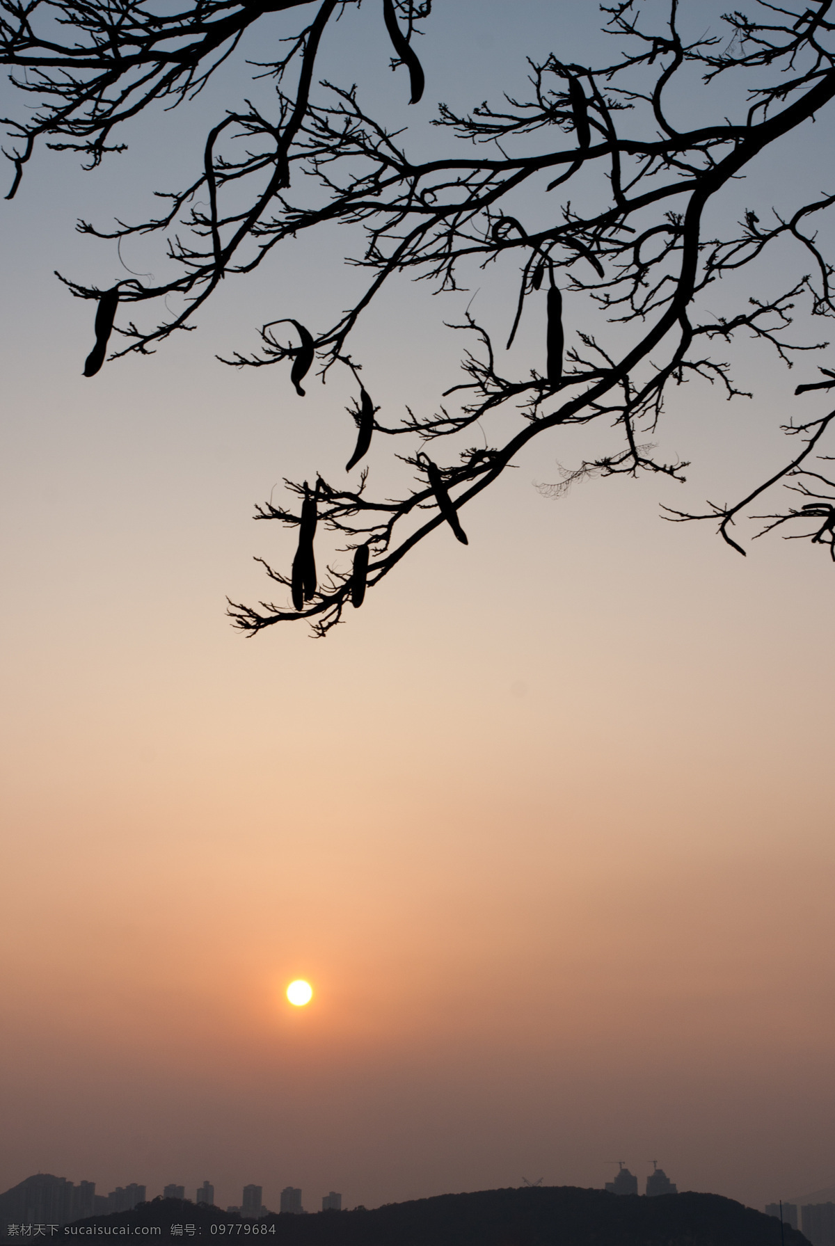 厦门 夕阳西下 鼓浪屿 国内旅游 旅游摄影 日落 树叶剪影 厦门夕阳西下 对岸 psd源文件