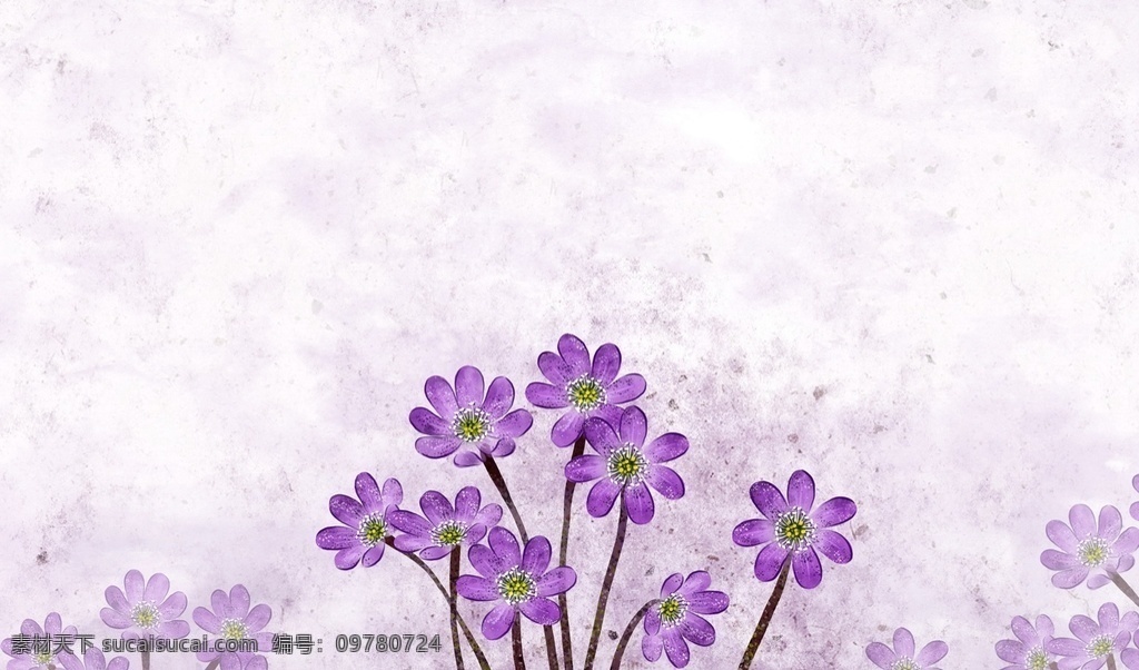 简约底图 紫色花朵 淡雅底图 花草背景 花草地图 鲜花背景图