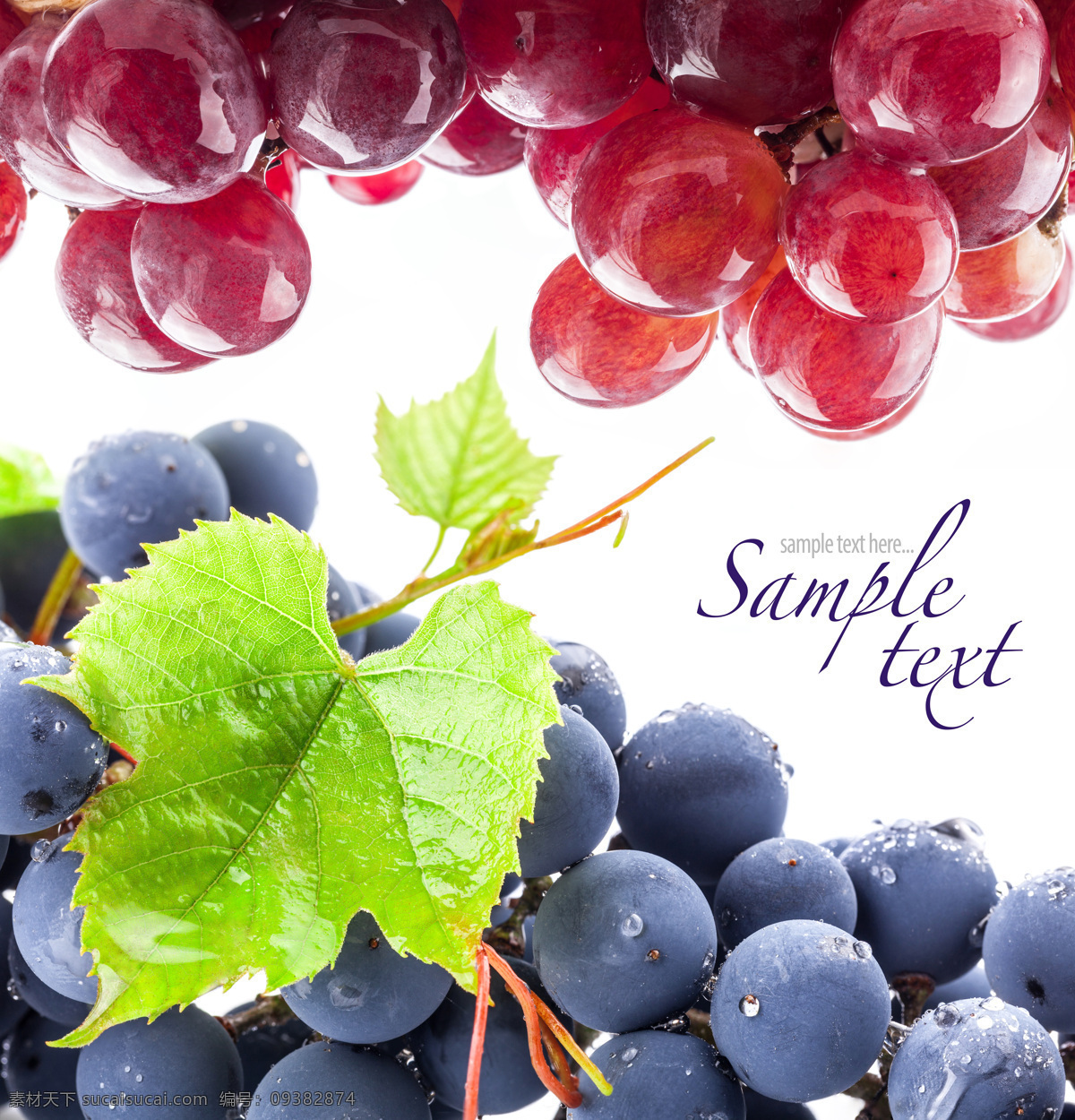 新鲜葡萄背景 新鲜葡萄 提子 新鲜水果 水果摄影 水果背景 水果 水果蔬菜 餐饮美食 白色