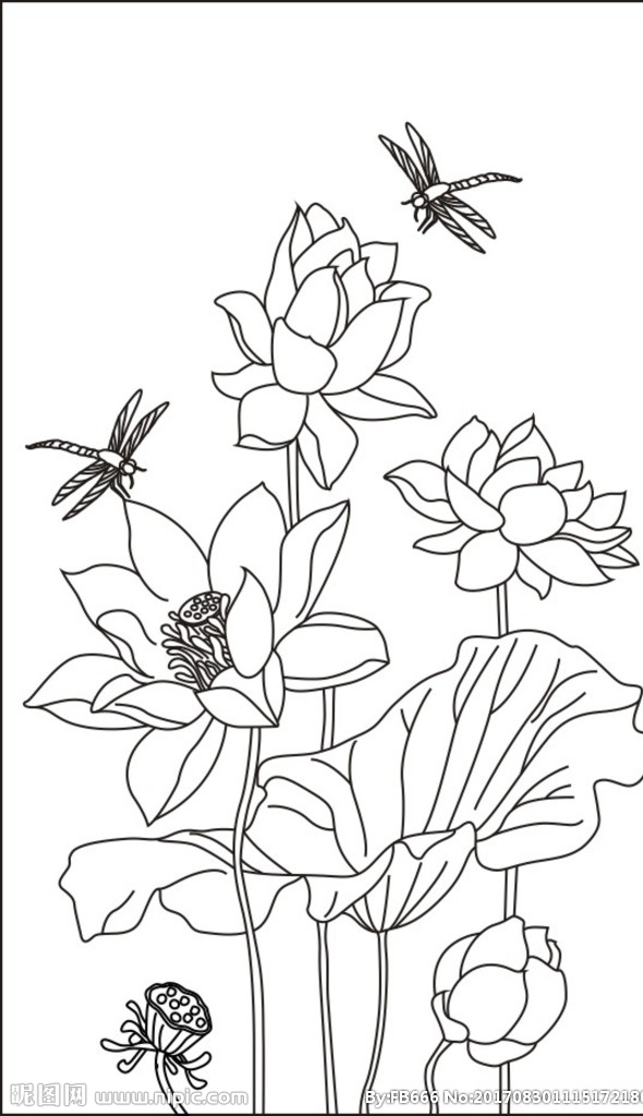 荷花 蜻蜓 莲花 莲子 荷花蜻蜓 玄关 背景墙 隔断 电视背景墙 线条图 抠线图 白描图