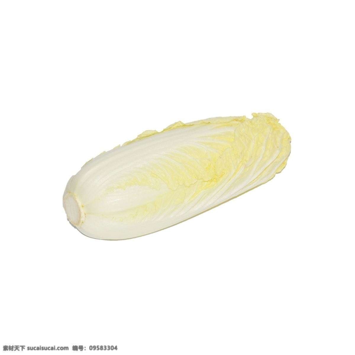 颗 白菜 实拍 免 抠 一颗白菜 白菜免抠 蔬菜 绿叶菜 植物 食物 实物拍摄 营养 摆拍 维生素