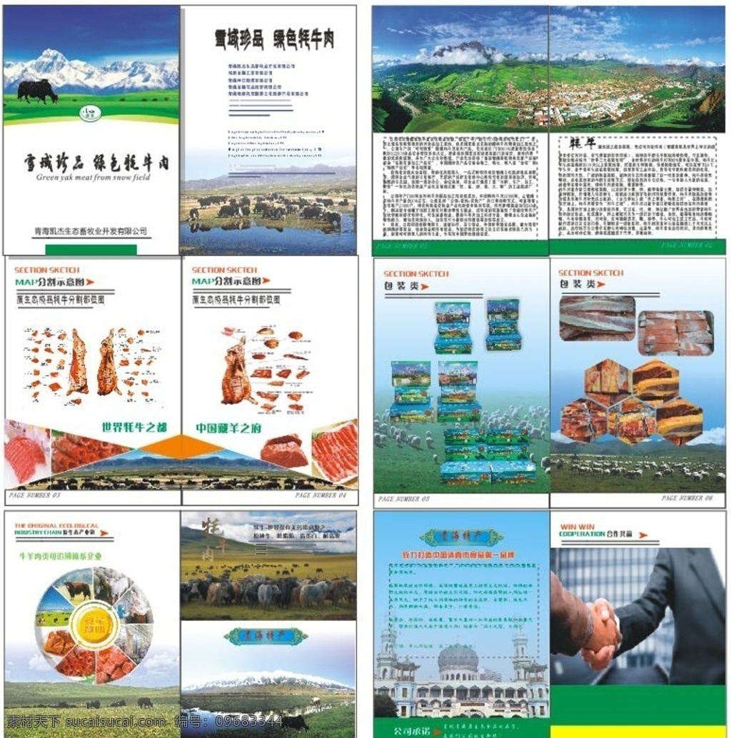 牛肉 水煮牛肉 牛肉干 牛肉丸 牛肉宣传单 牛肉卷 牛肉贴图 铁板牛肉 新鲜牛肉 肉铺 羊肉展板 五香牛肉 张飞牛肉 牛肉店 酱牛肉 牛肉海报 传统牛肉 牛肉广告 新鲜牛肉海报 牛肉宣传 牛肉文化 干锅牛肉 进口牛肉 牦牛肉 牛杂 牛肉小吃 秘制牛肉 牛肉画册 牦牛肉画册 画册 青海特产 海报 画册设计