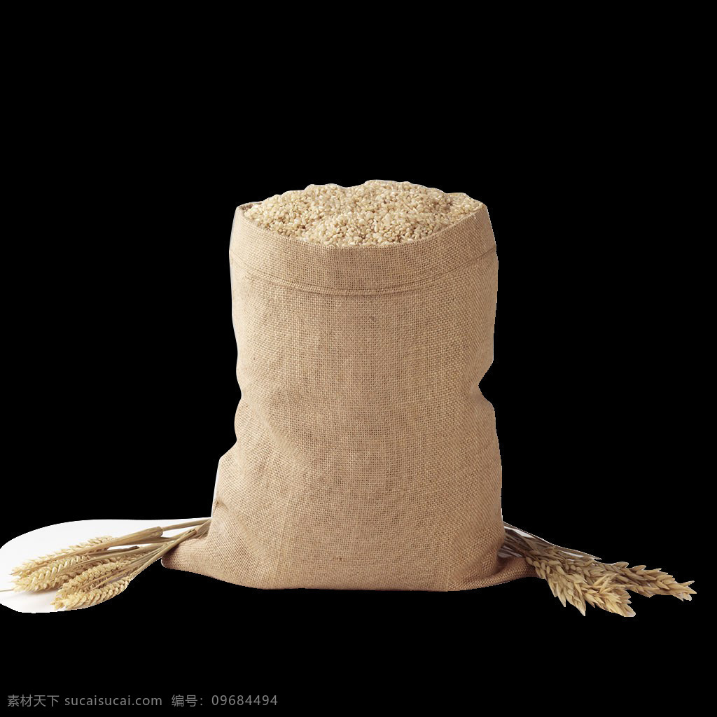 五谷 大米 麦子 元素 png元素 稻米 粮食 麦穗 免抠元素 实物 透明元素