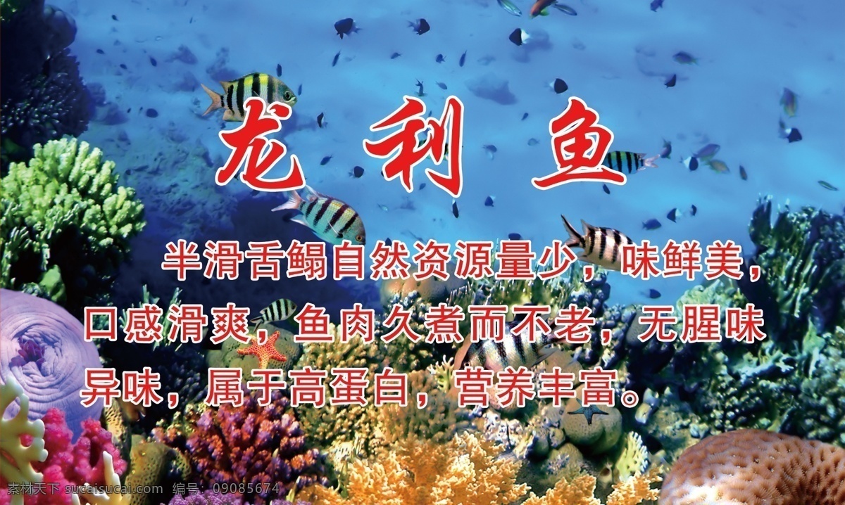 龙利鱼简介 龙利鱼海报 特色菜品 招牌菜