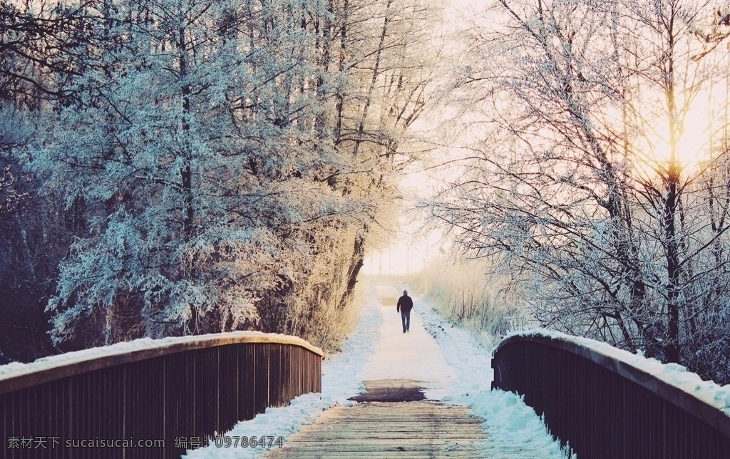 桥边 踏雪 风景 图 雪景 雪花 树木 森林 积雪 千山暮雪 藏区 风景画 桥 旅游摄影 国内旅游
