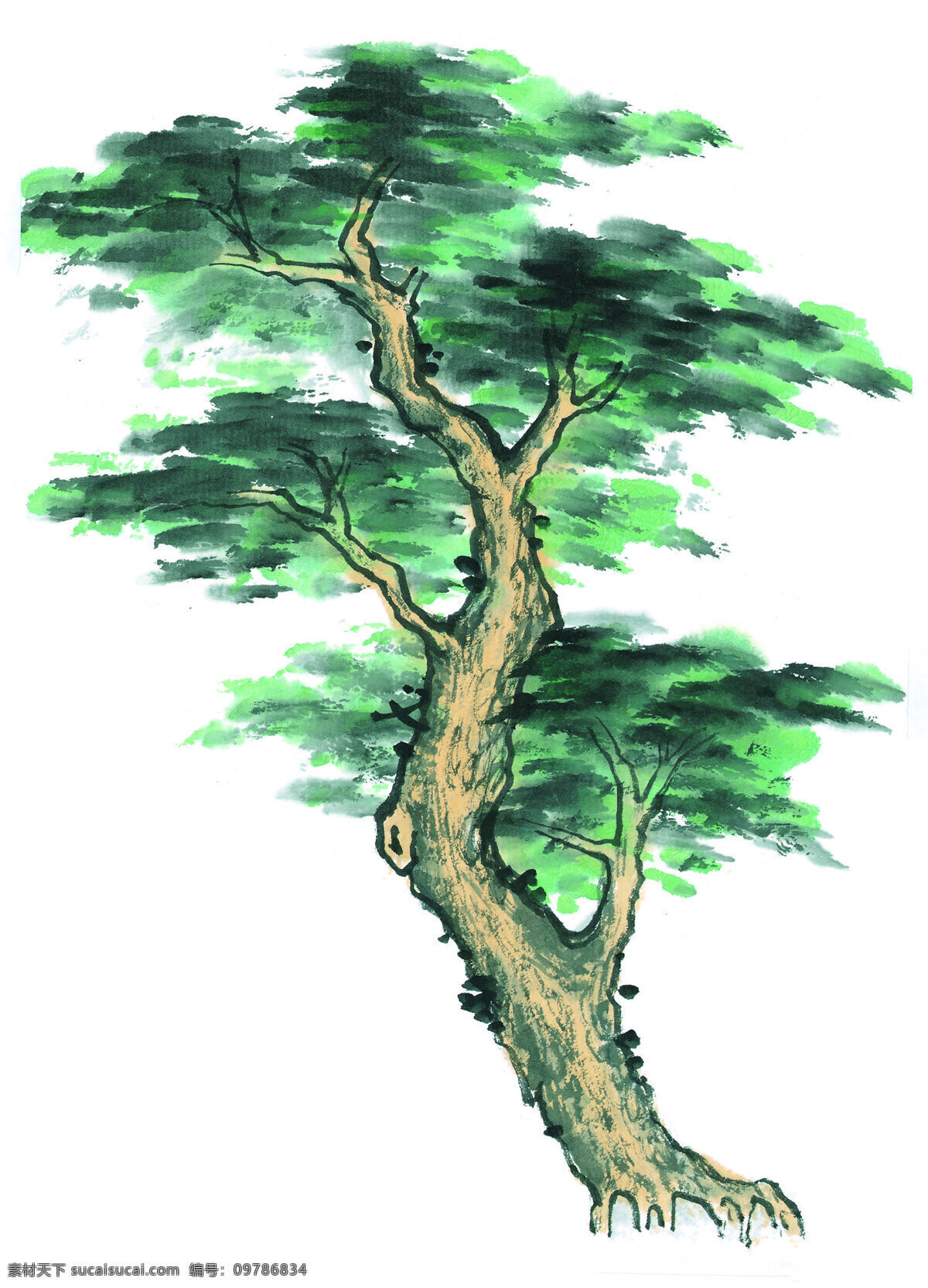绘画 松树 国画 手绘 水彩画 水墨画 艺术 源文件 中国画 绘画松树 人文艺术 文化艺术