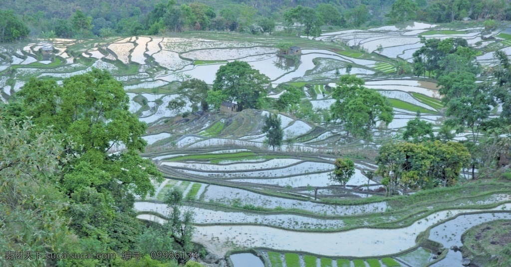 梯田风光 山 青山 青山绿水 田野 风景 风光 拍摄 田园 梯田 田 秧苗 秧田 秧 自然景观 田园风光