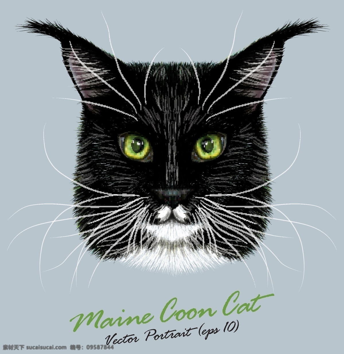 方 脸 猫咪 宠物 猫 头像 品种 矢量 黑色 名猫 可爱 动物 猫奴 毛绒绒 猫科动物 卡通 水彩 手绘 插画