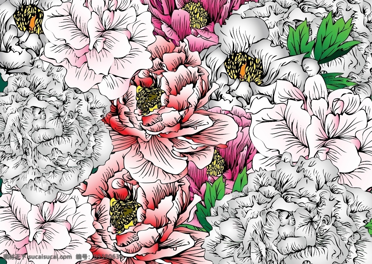 唯美 线条 牡丹 植物 花朵 花卉 手绘 艺术
