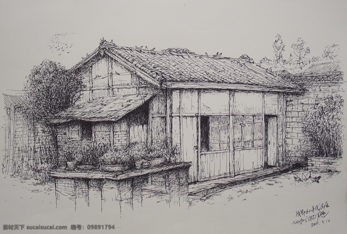 钢笔画 成都 年代 民居 老成都 川西建筑 瓦房 老墙 院子 鸡 花台 飞鸟 沙石板 树木 绘画书法 文化艺术
