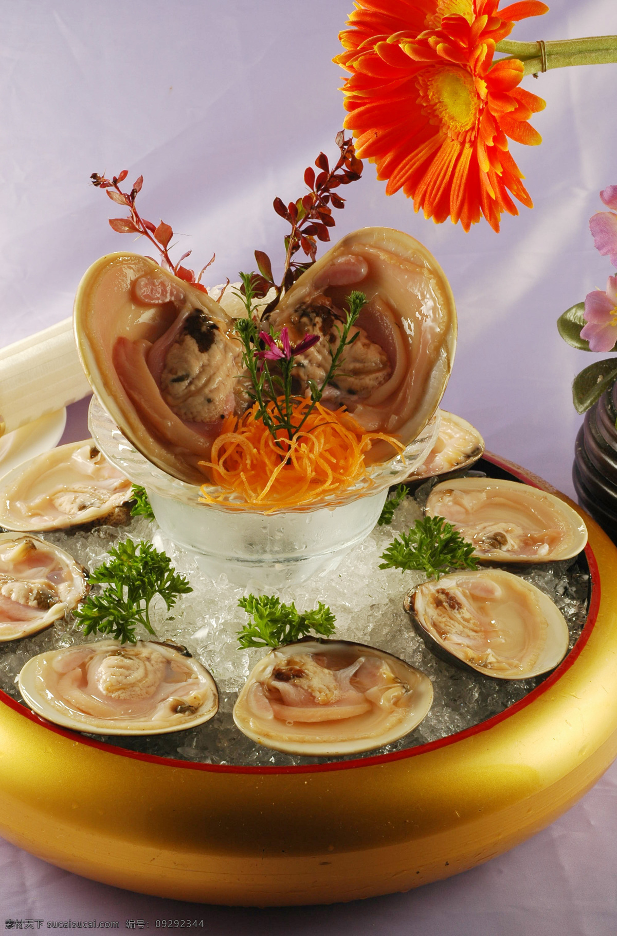 生蚝免费下载 餐饮美食 传统美食 青菜 生蚝 食物原料 鲜花 新鲜 美感 涮火锅 海鲜捞 红萝卜丝 鲜嫩 psd源文件 餐饮素材