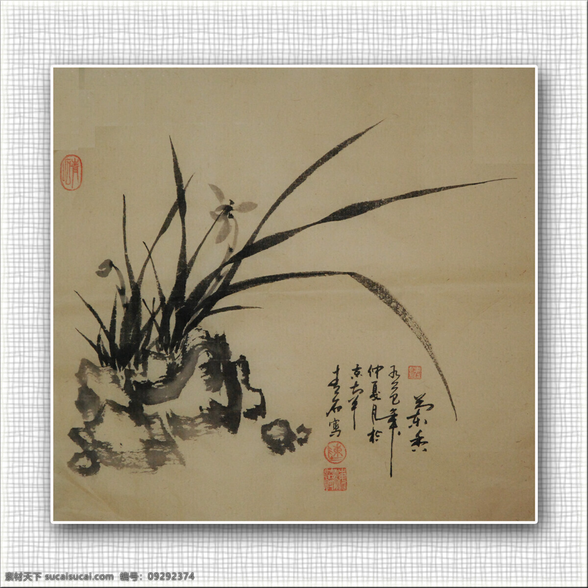 国画 绘画书法 兰花 文化艺术 文字 印章 青石 兰花设计素材 兰花模板下载 青石国画兰花 装饰素材 雕刻 图案