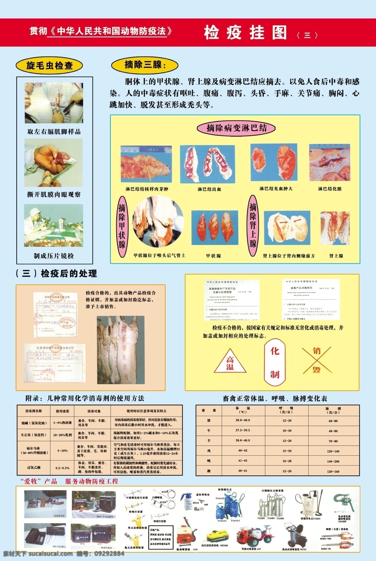 分层 广告设计模板 源文件 展板模板 检疫宣传展板 检疫挂图 动物屠宰检疫 检疫中心 检疫操作程序 检疫检查 动物检查 其他展板设计