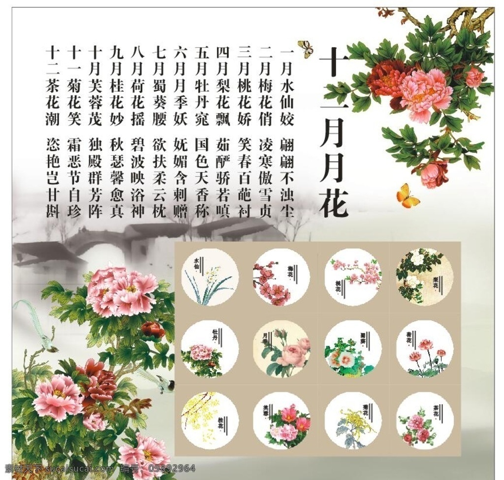 十二月月花 花 海报 十二月花 牡丹 水仙 月季 菊花 展板模板