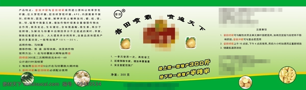 马铃薯包装 包装设计 土豆 绿色