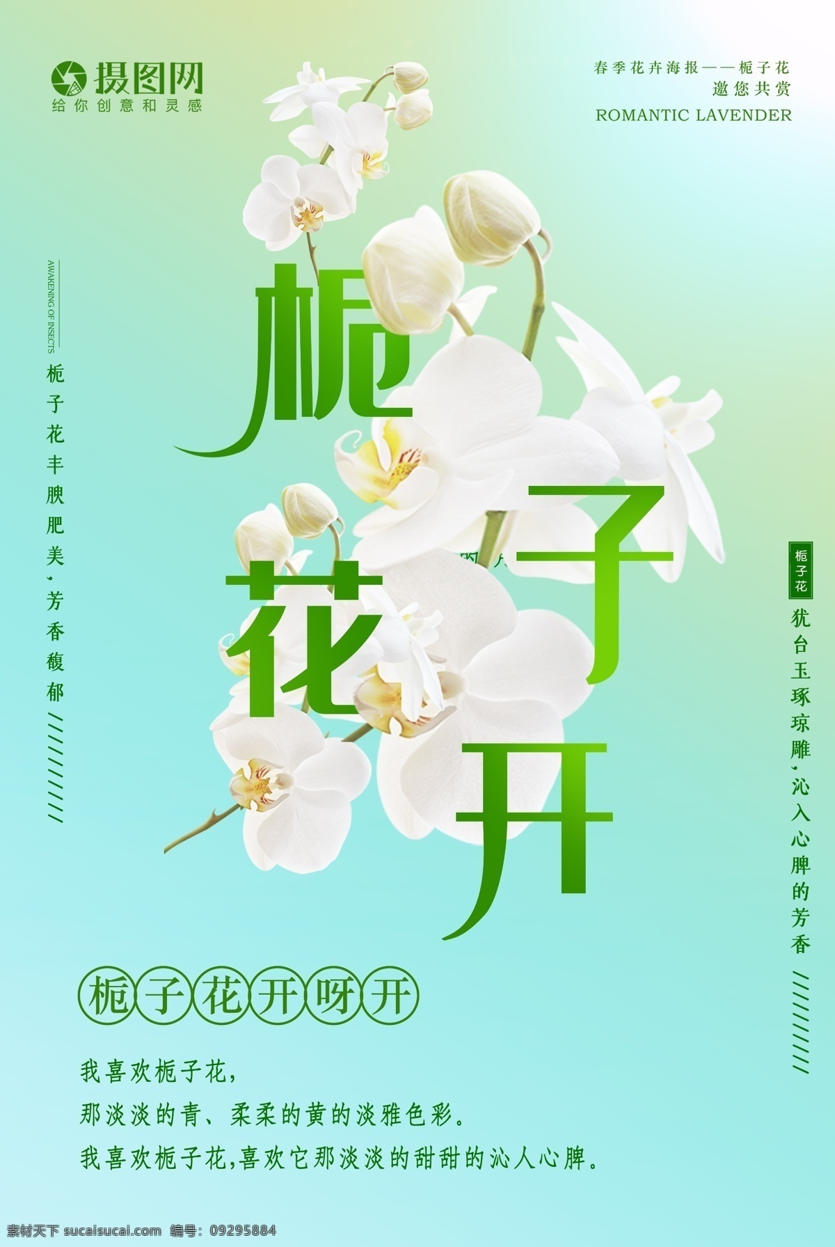 绿色 小 清新 栀子 花开 海报 栀子花开 栀子花 文化节 鲜花海报 促销 花店 春季 春花 春天花卉 小清新 花卉 花展 花朵 赏花 旅游海报