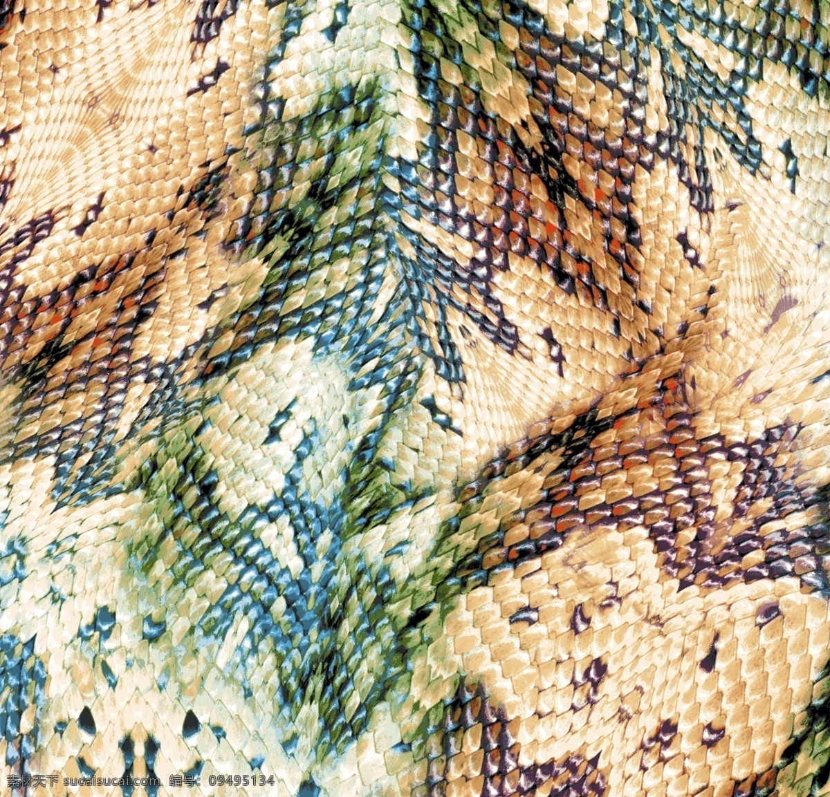 蛇皮纹 服装图案 色彩 面料图库 白色