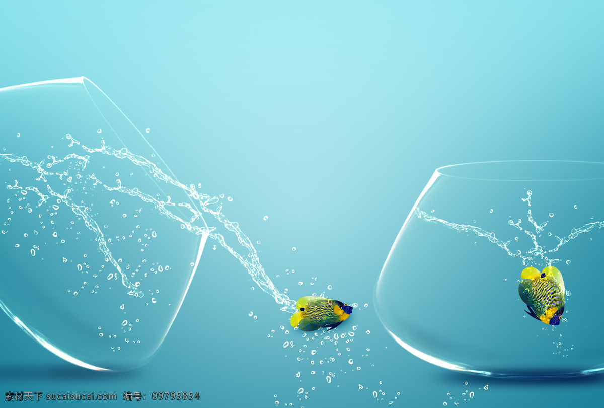 飞溅 水花 跳跃 鱼 跳跃的鱼 玻璃鱼缸 飞溅的水花 动感水花 水珠 水滴 水中生物 生物世界