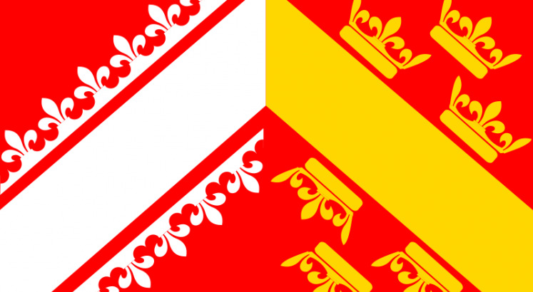 法国 阿尔萨斯 地区 旗帜 矢量 图像