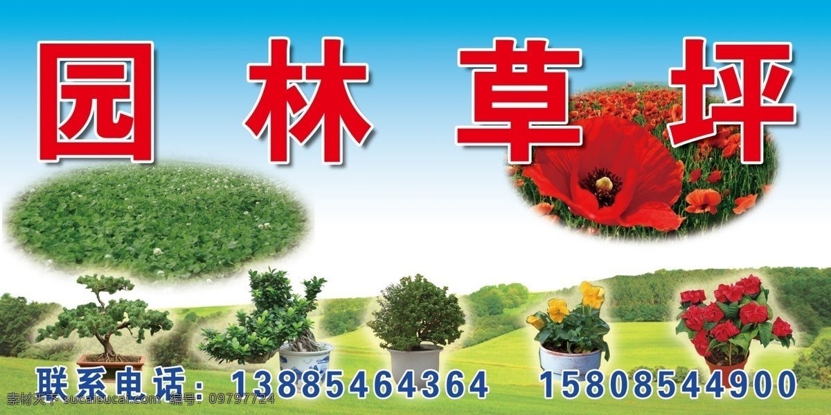 草坪 广告设计模板 国内广告设计 花坛 蓝天 玫瑰 盆景 源文件 l 园林 模板下载 l园林草坪 psd源文件