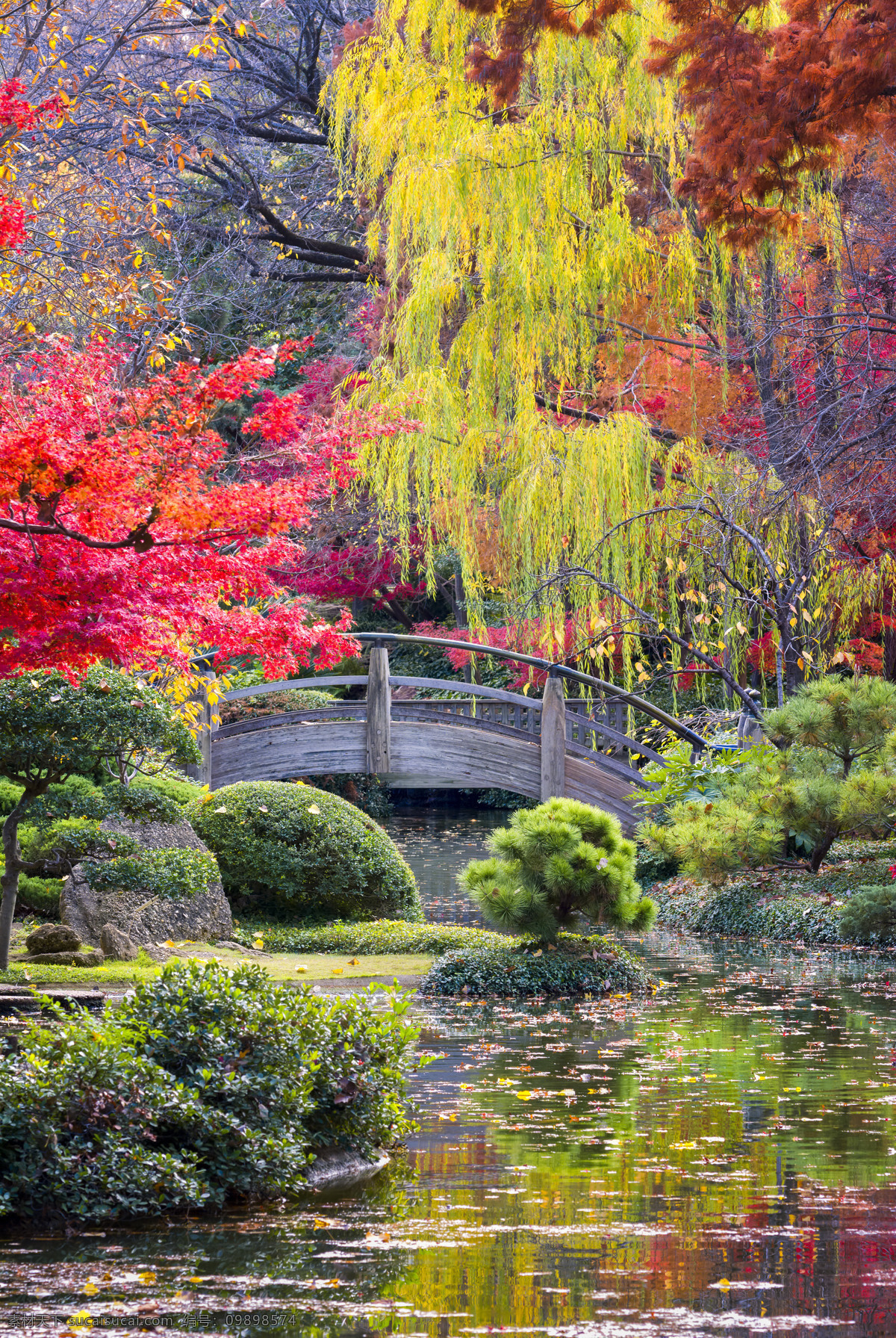 秋天树林风景 秋季美景 拱桥 小桥 桥梁风景 美丽景色 风景摄影 美景 美丽风光 美丽拱桥风景 自然风景 自然景观 黑色