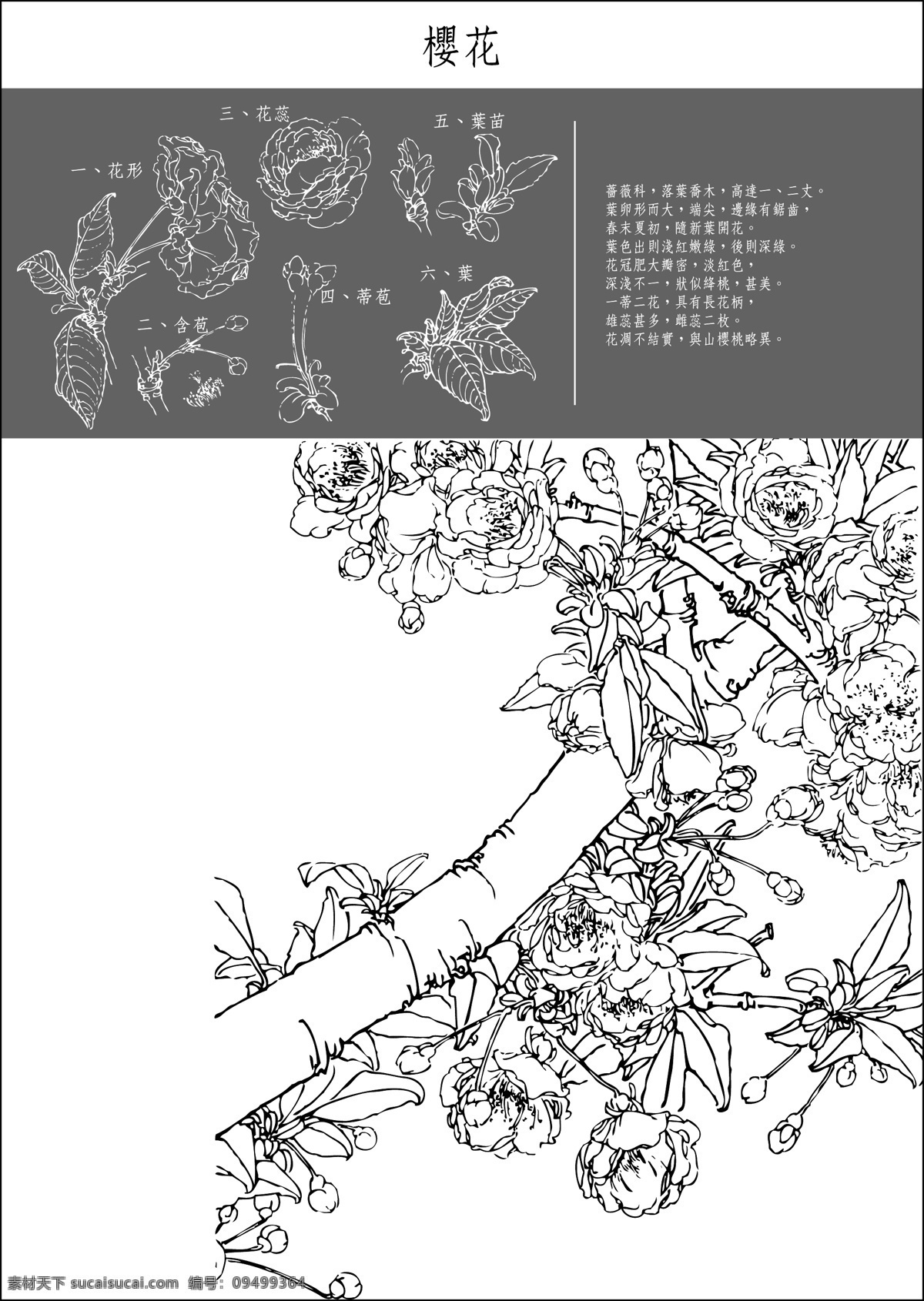 图 中国 传统 工笔画 笔法 细腻 注重细节4 艺术的载体 载体的写意画 关闭 细节 平 细 白色