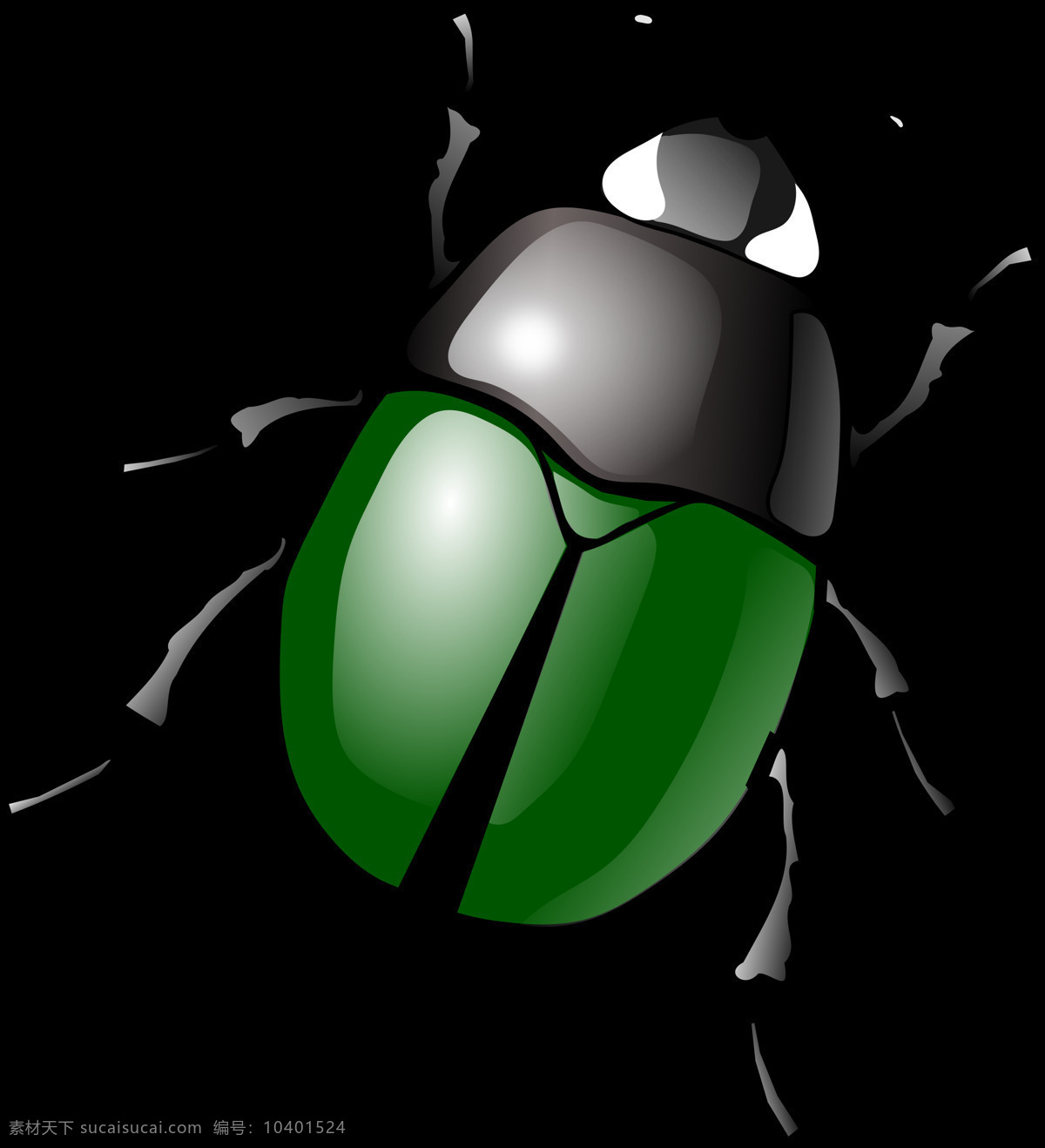 绿色 甲虫 免 抠 透明 图 层 恐怖虫子图片 世界 上 最 可怕 虫子 小虫子图片 昆虫图片 死虫子图片 大虫子 甲壳虫 大全 甲虫图片 各种甲虫 各种昆虫 昆虫图片大全