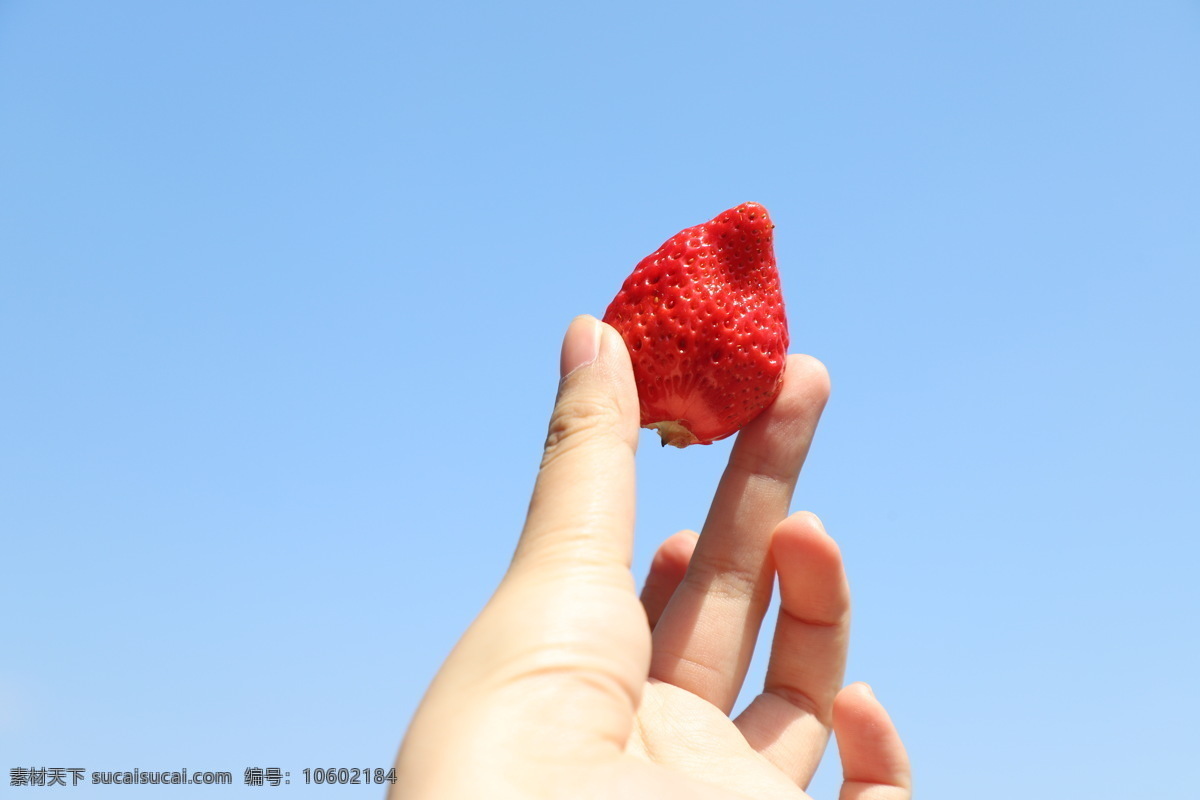 蓝天 草莓 天空 天气 野外 空气 清新 水果 野餐 旅游摄影 自然风景