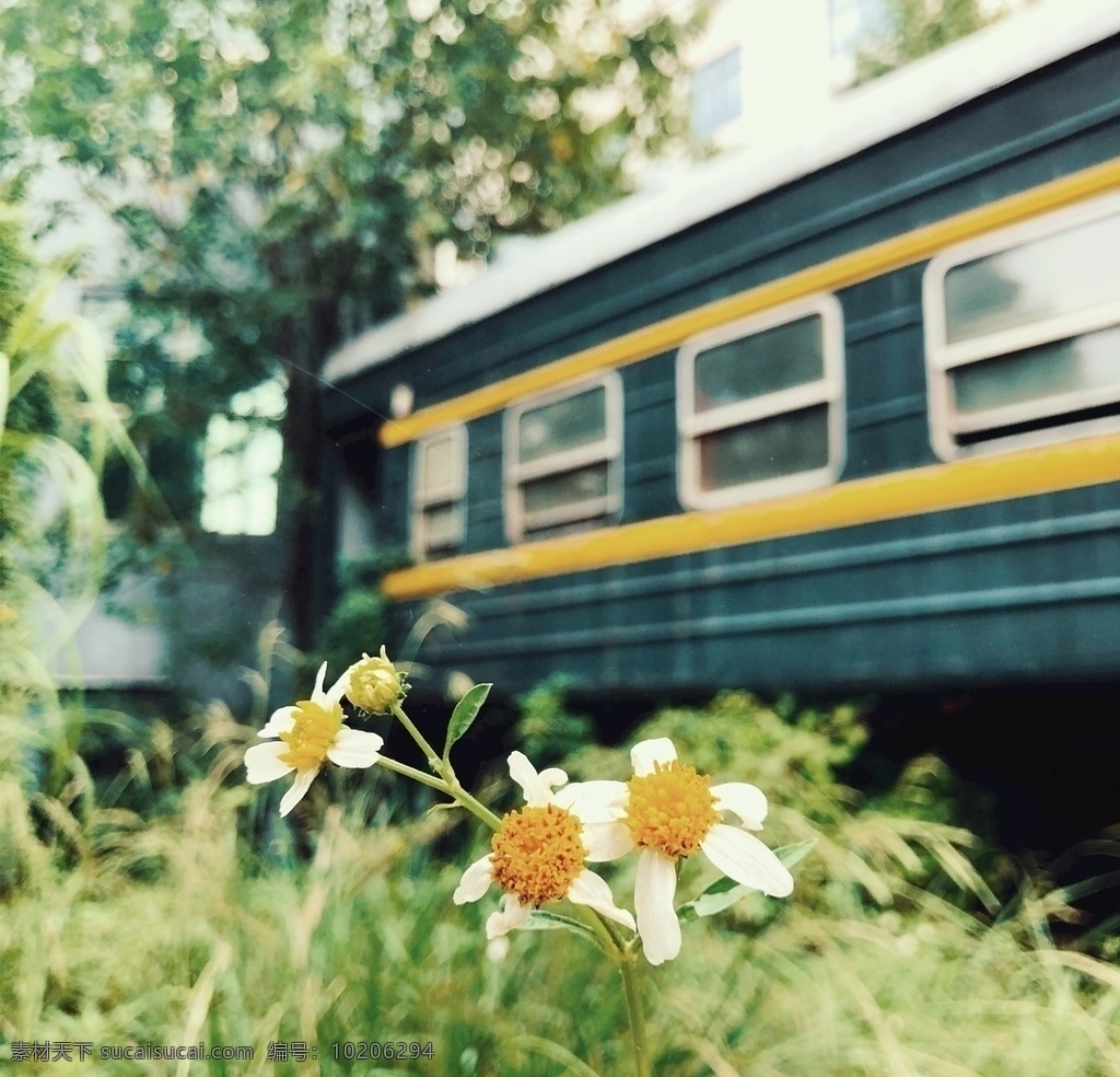 绿皮列车图片 绿皮火车 列车 废旧火车 废旧列车 火车 旅游摄影 国内旅游