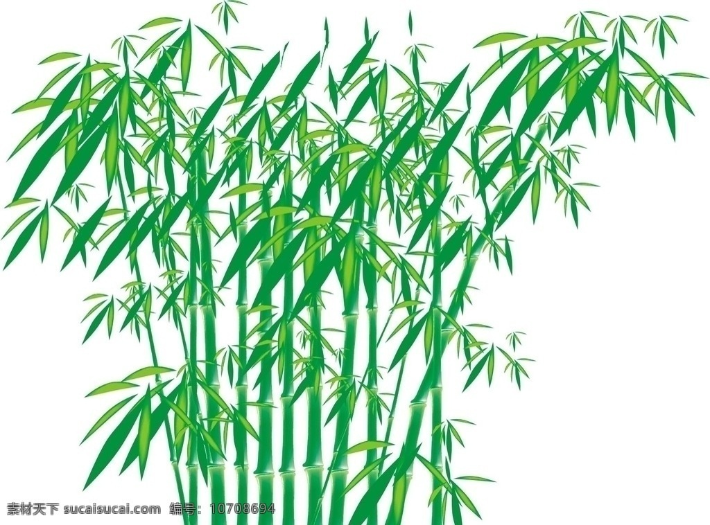 竹林 竹 矢量素材 其他矢量 矢量